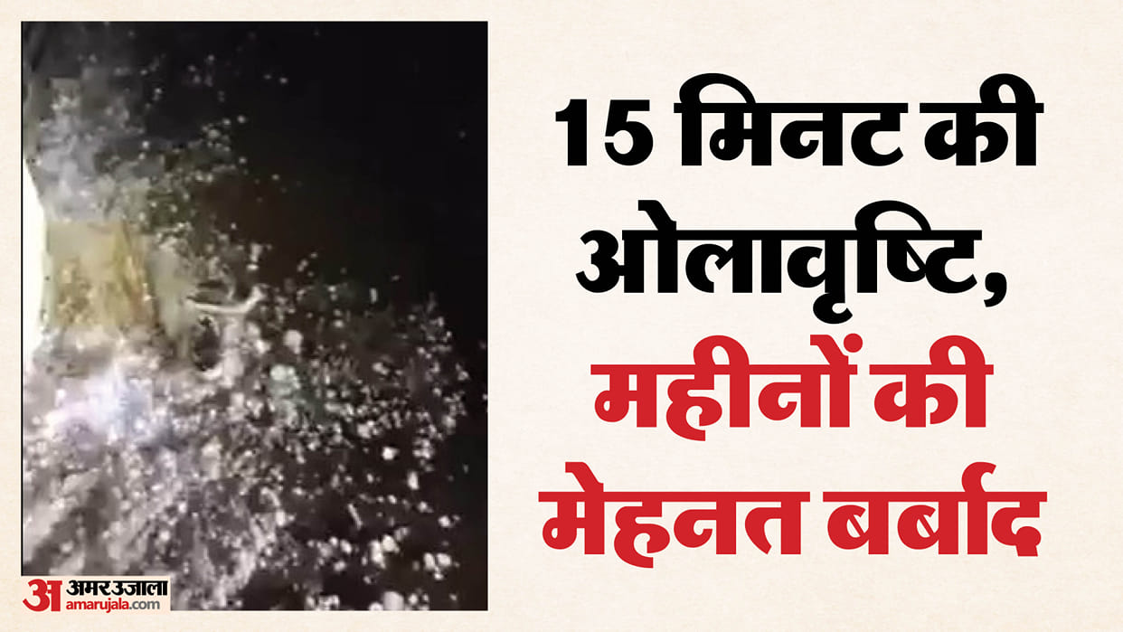 Weather havoc in Sawai Madhopur Hailstorm breaks the backs of farmers news in hindi