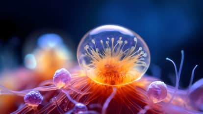 mysterious creature of the world who can live without breathing