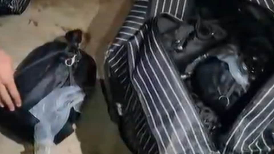 माैके से बरामद हथियार