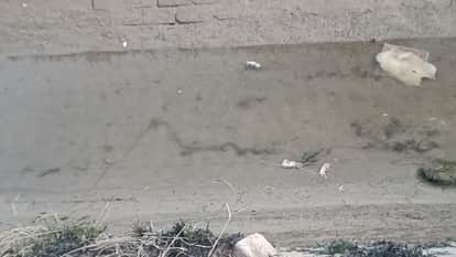 Three fetuses found in Rupana Minor canal Muktsar