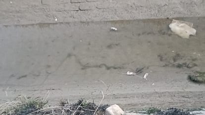 Three fetuses found in Rupana Minor canal Muktsar