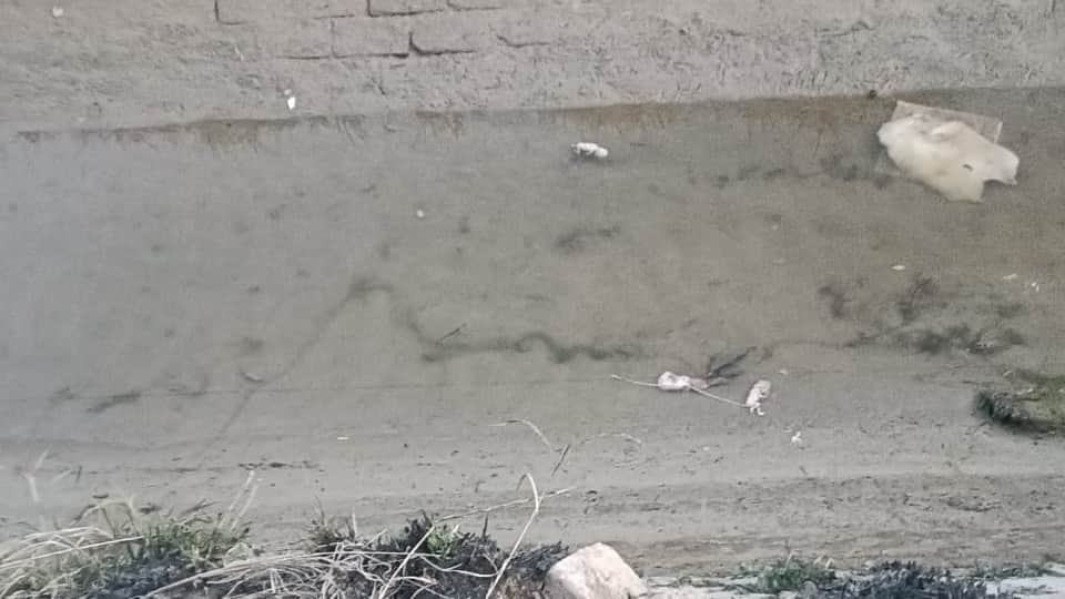 माइनर में पड़े भ्रूण