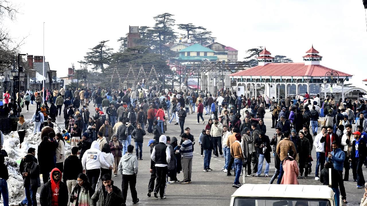 Snowfall boosts tourism business; tourists flock to Shimla and Kufri. See pictures.