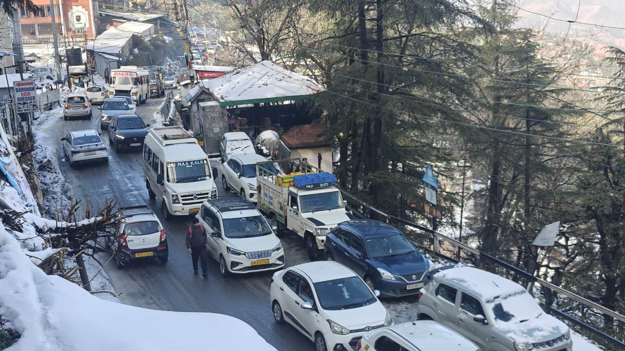 Snowfall boosts tourism business; tourists flock to Shimla and Kufri. See pictures.