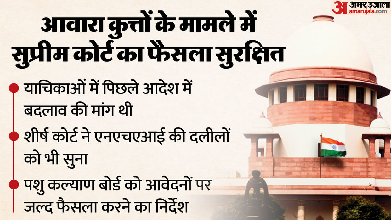 Supreme Court reserves order in stray dogs case after hearing all states