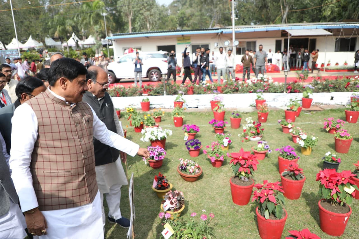 Flower exhibition in Bhopal: Foreign plants steal the show, Chinese and Japanese varieties become the main att