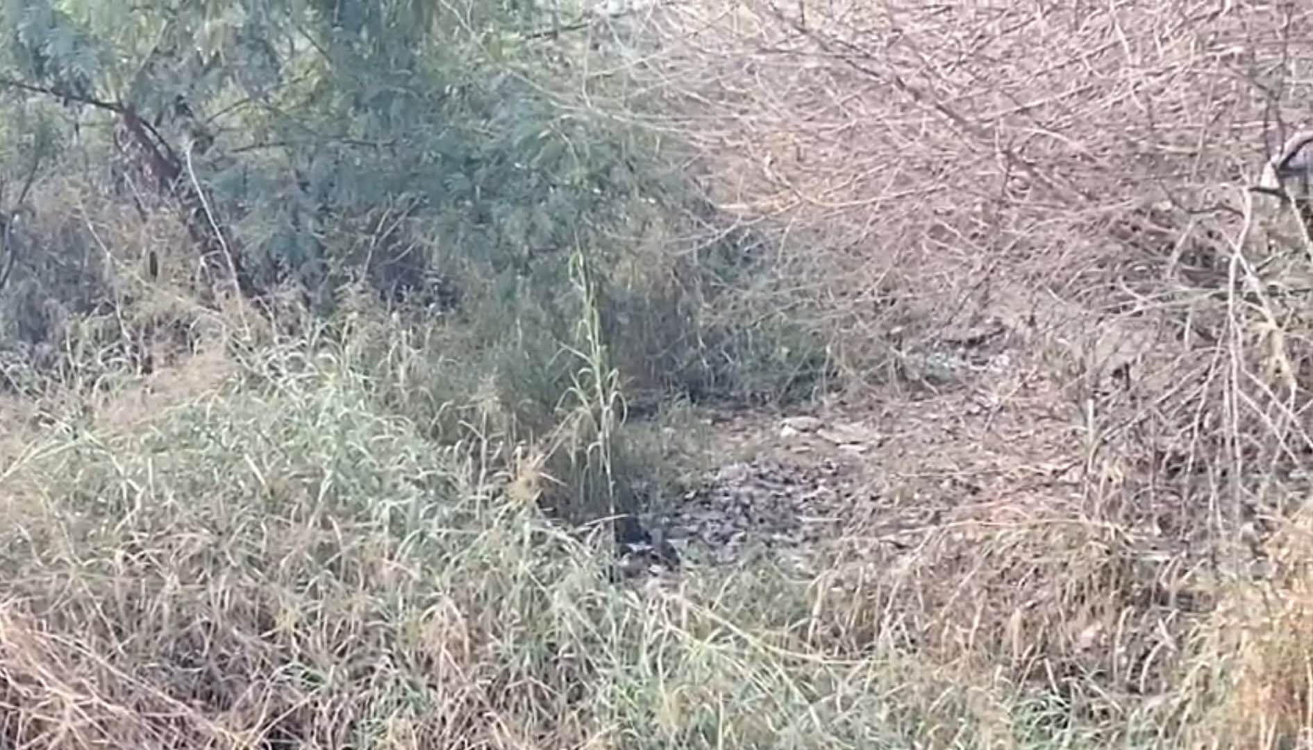 stepfather killed a 12-year-old son by crushing his head in delhi