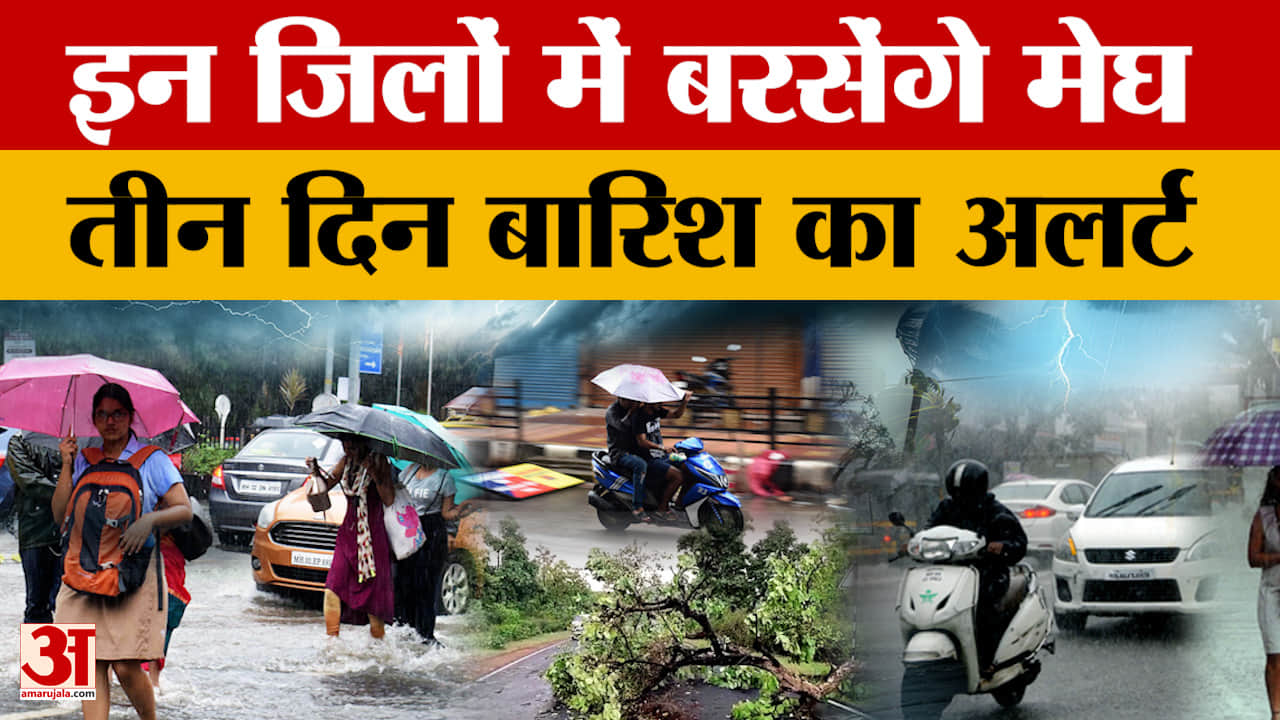 MP Weather Report : घने कोहरे के आगोश में मध्य प्रदेश, इन जिलों में तेज बारिश का अलर्ट