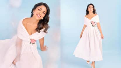 Shriya Saran spoke on being called south actress says I belong to hindi speaking family