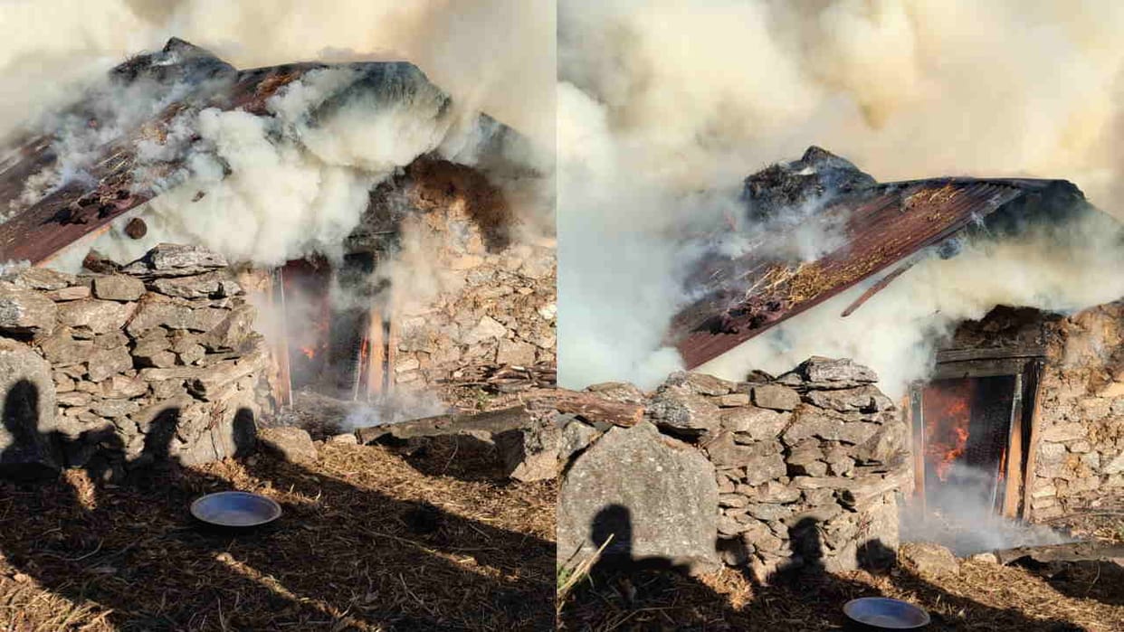 Fire broke out in a cowshed in Silla village of Bhatwari killing six animals Uttarkashi News