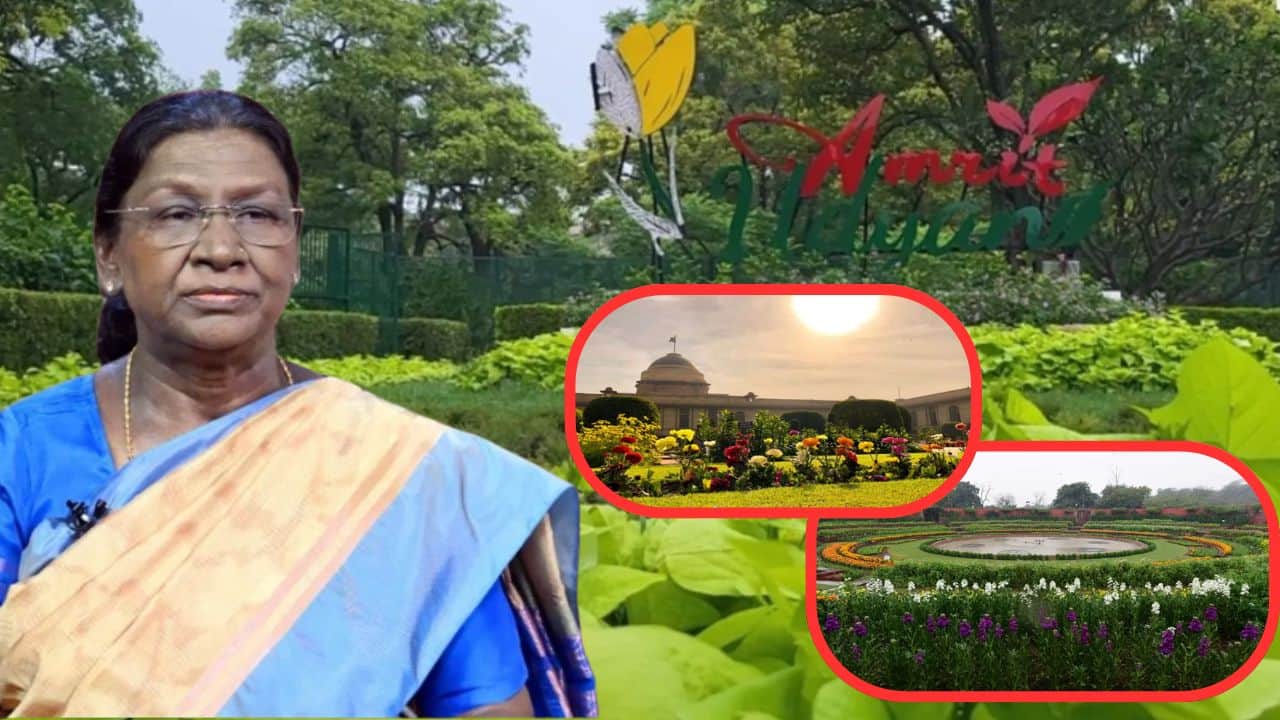 Amrit Udyan at Rashtrapati Bhavan Opens Tomorrow: Ticket Prices and Booking Details