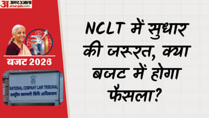 Delays in insolvency resolution cases a cause for concern, experts raise this demand before the budget