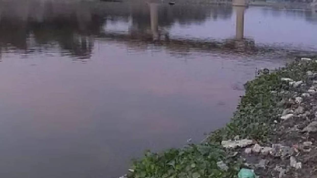 UP: The STP (Sewage Treatment Plant) meant to save the Gomti River is itself polluting it; treated water found