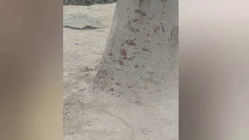 UP Murder Case: Mumbai Woman Killed by Lover with Wife Help, Body Found in Pipiganj