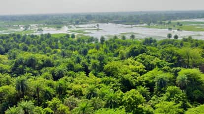 UP: 11th wetland declared a 'Ramsar Site', Etah's Patna Bird Sanctuary added to the world map; know its featur