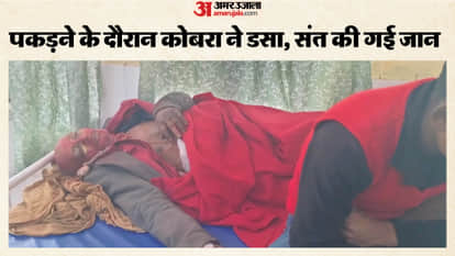 saint died after being bitten by cobra while trying to catch it