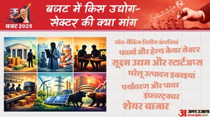 Indian Industry expects from the budget decisions can be taken to increase domestic manufacturing rationalize