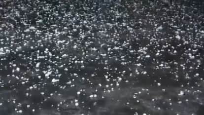 West Up Weather: Heavy rain and hailstorm in Meerut, Baghpat and Shamli, increase in cold