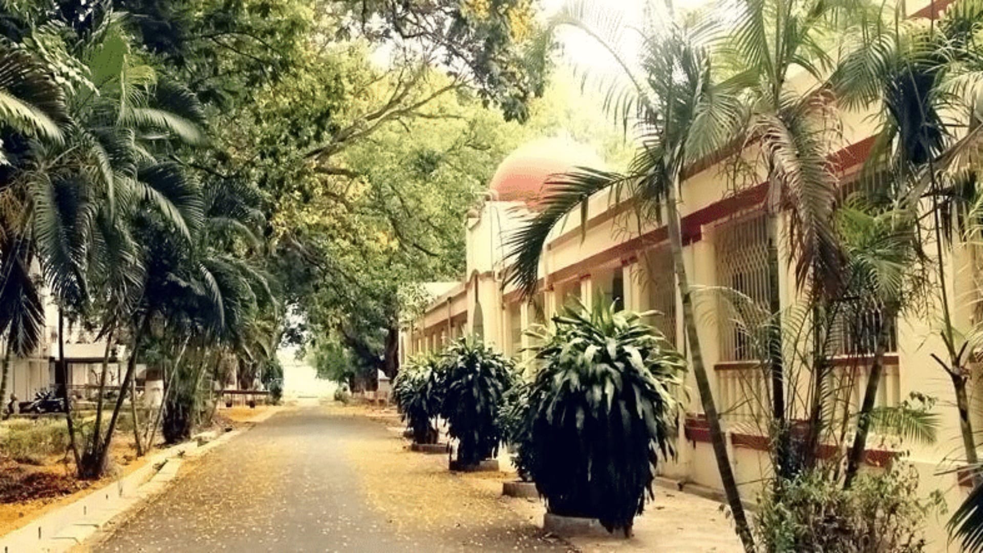 रांची को सीआईपी जैसा मिलेगा एक और मानसिक स्वास्थ्य संस्थान