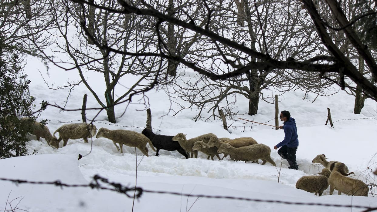 Weather: Snowfall in the mountains increased the cold, the mercury rose in the plains