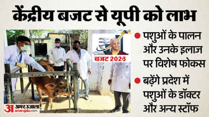 Union Budget: Special focus on animal safety and health, increase in veterinary hospitals and doctors