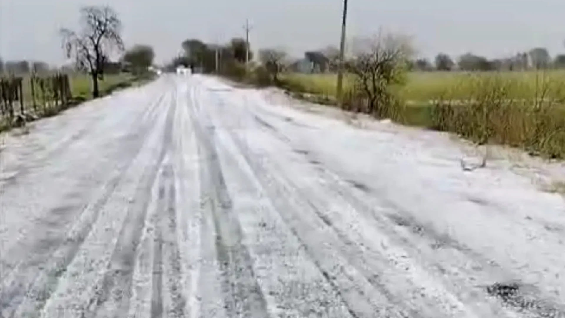 मंदसौर में ओलावृष्टि के बाद का दृश्य