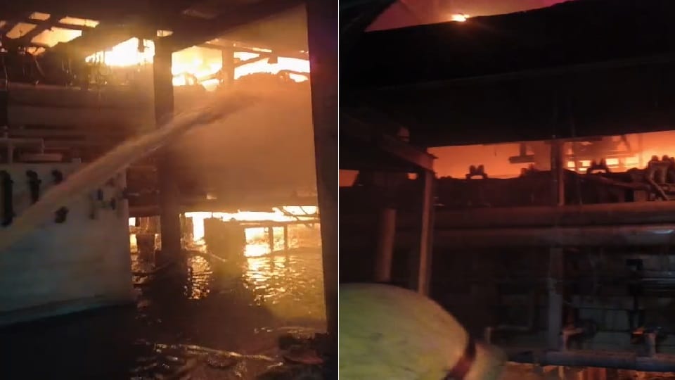 Fire broke out in a company in Sector 7 of Manesar