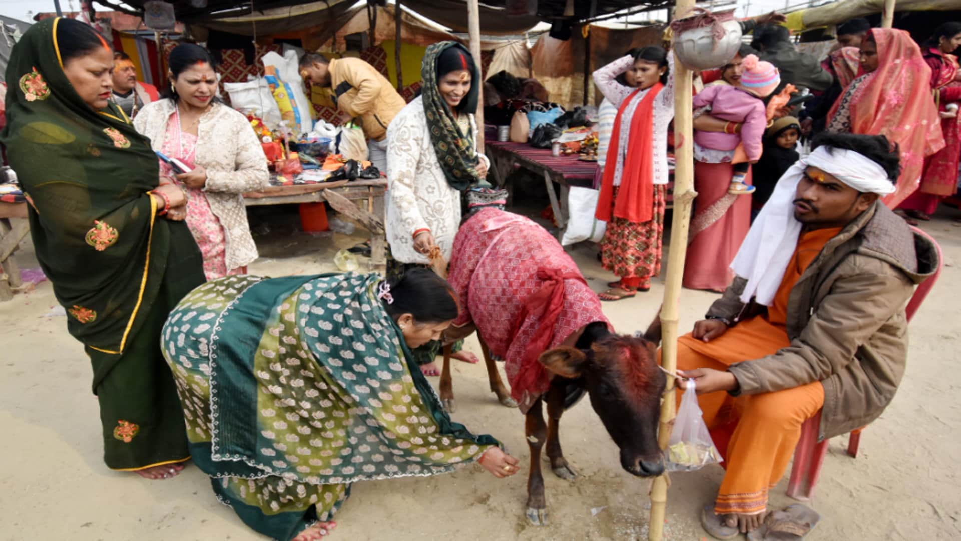 Maghi Purnima: More than two crore devotees took a holy dip on Maghi Purnima