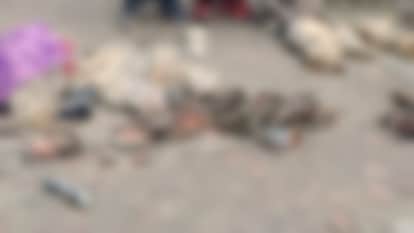 Baghpat: Seven poachers caught near expressway toll, bodies of many animals including wild cat- recovered