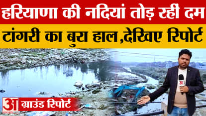 Haryana's rivers are facing pollution; after Markanda, the condition of Tangri river is worrying.