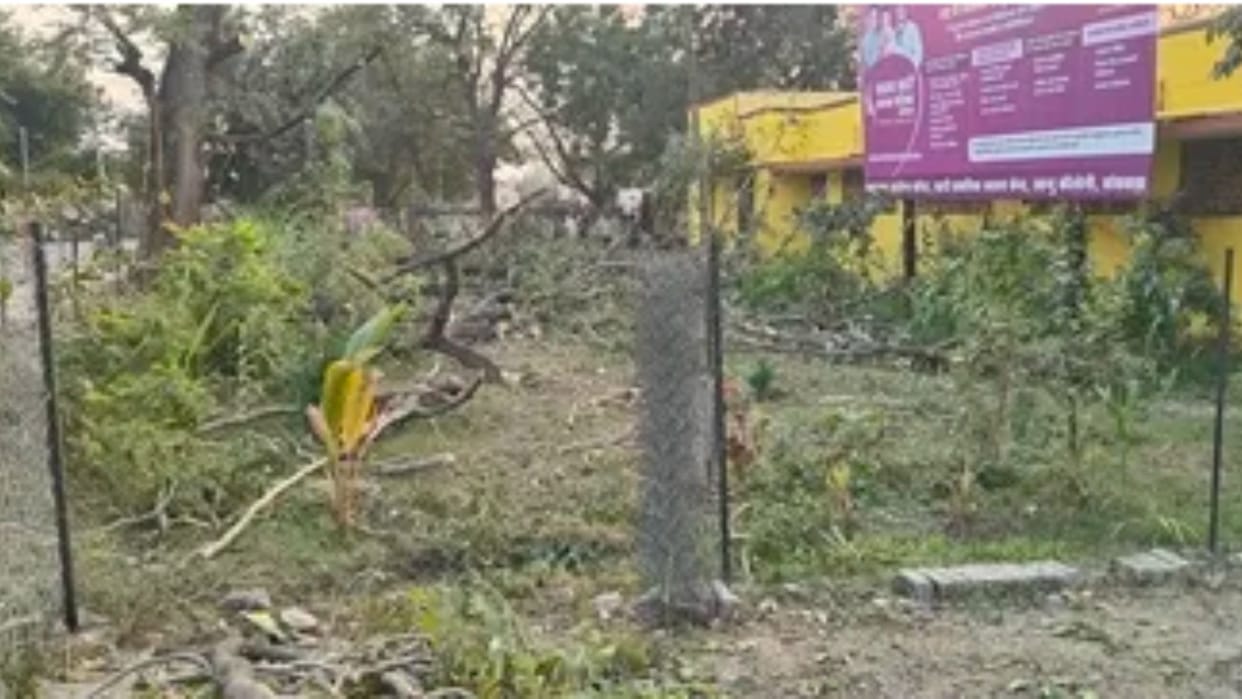 Green trees were cut to make wire boundary in Banswara hospital responsible washed their hands