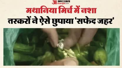 Jodhpur News: Smugglers’ new trick, drugs hidden inside chillies, Mathania green chillies used for trafficking