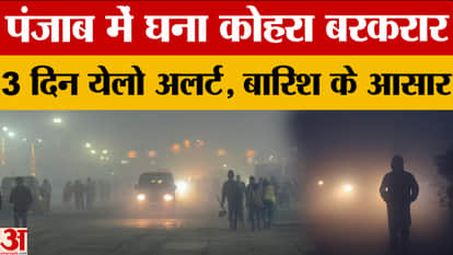 Punjab Weather Alert: Yellow alert for dense fog in Punjab for 3 days, visibility zero due to rain