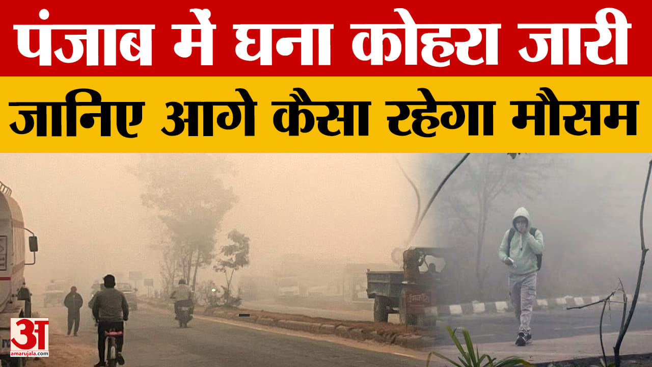 Dense fog in Punjab: 40 metres visibility in Patiala, yellow alert and rain warning