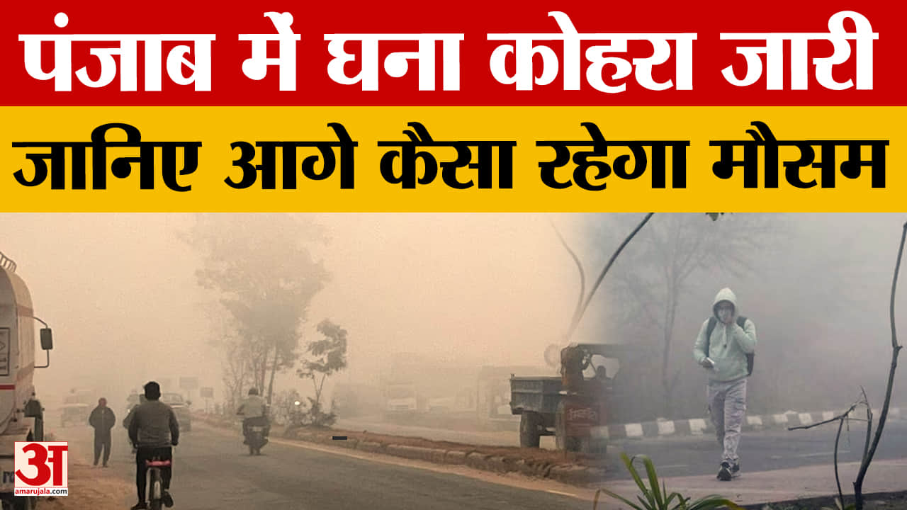 पंजाब में घना कोहरा: पटियाला में 40 मीटर दृश्यता, येलो अलर्ट और बारिश की चेतावनी