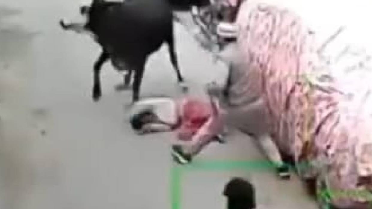 Lucknow: An aggressive cow chased and attacked a girl in the Chaupatiya area; a video of the incident has surf