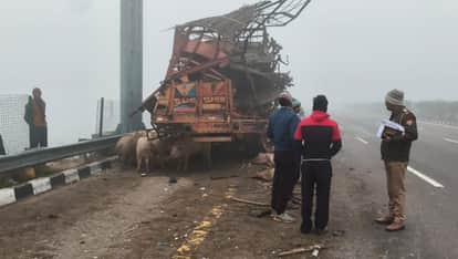 Unnao Accident bus collided with truck loaded with pigs o10 animals died and several passengers injured