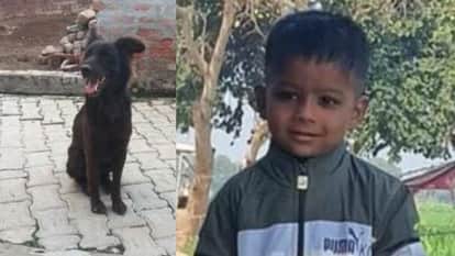 A child injured by a dog bite died during treatment.