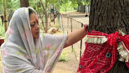 Rajasthan Former CM Vasundhara Raje joins  Khejri Mahapadav protest  today