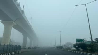 Weather Update Meerut: Dense Fog and Cold Wave Continue to Trouble People in Early February in Modipuram