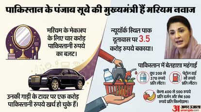 Maryam Nawaz four crore budget for makeup Of former PM daughter order passed in Punjab province of Pakistan