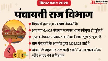 Bihar Budget 2026: Schemes announced in Panchayati Raj Department CM Nitish Kumar Bijendra Prasad Yadav