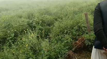 Orai Womans naked body found in  field misdeed and murder suspected Police investigation launched