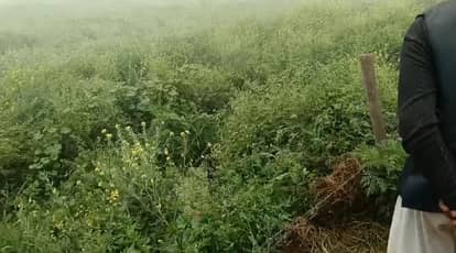 Orai Womans naked body found in  field misdeed and murder suspected Police investigation launched