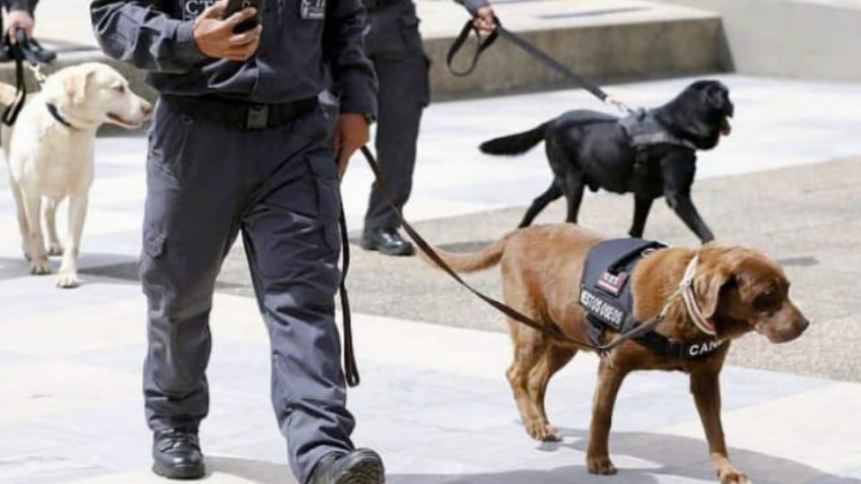 BSF-trained sniffer dogs will be deployed in Punjab jails