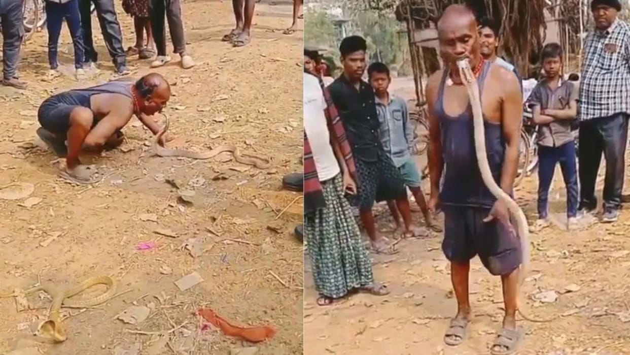 Snake Viral Video:  Old Man Lift Snake With His Mouth In Odisha Watch Video