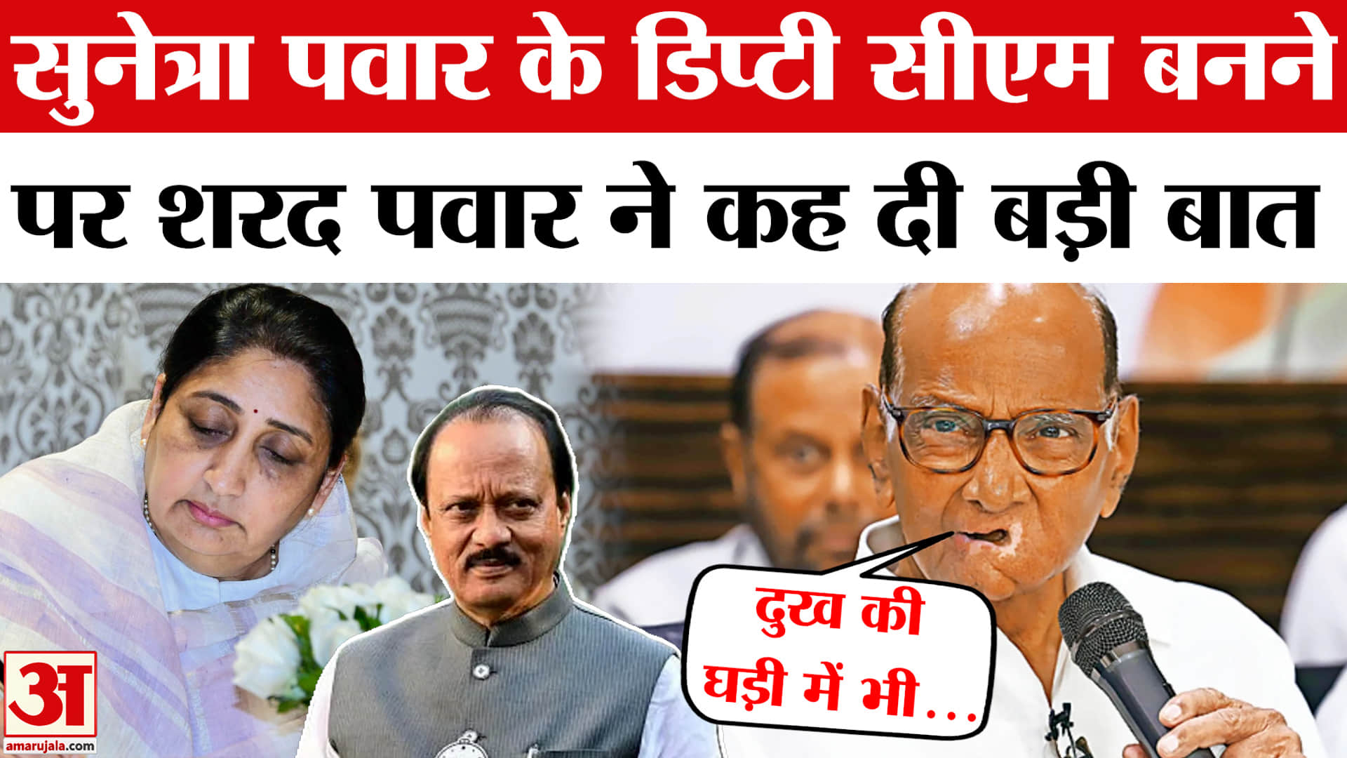 सुनेत्रा पवार के डिप्टी सीएम बनने पर शरद पवार