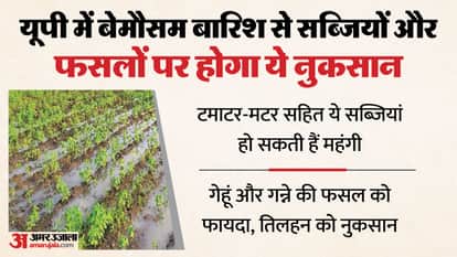 UP: Unseasonal rains in the state could make vegetables more expensive, with hailstorms causing the most damag