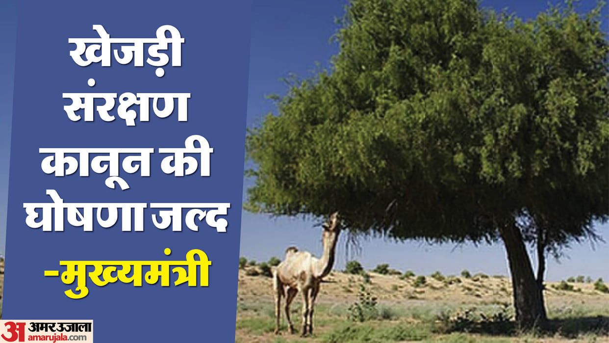 Law for Khejri conservation soon Chief Minister Bhajanlal Sharma announced in Rajasthan Assembly