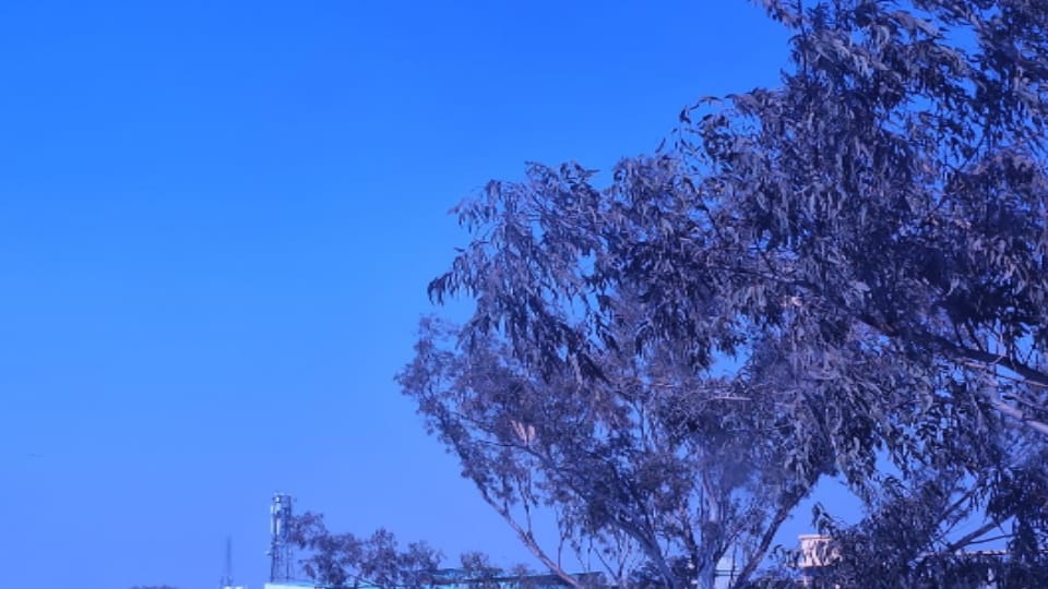 Weather Update West UP: Bright sunshine weakens cold wave grip, people get relief